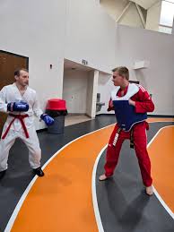 Image result for York University Taekwondo Club