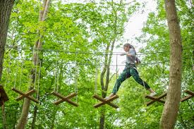 Image result for Go Ape! Thetford