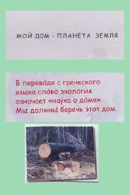 Image result for მერაბი