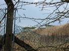 The United Kingdom Warning and - via Daymix