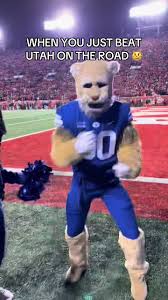 Image result for Ut Cougars