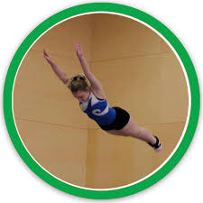 Image result for Gatwick Flyers Trampoline Club