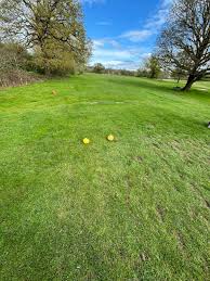 Image result for Pachesham Park Golf Centre