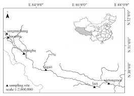 Attēlu rezultāti vaicājumam “Dipogon sp.”