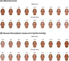 Image result for faces