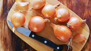 Image result for Zwiebeln