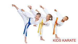 Image result for Action Karate