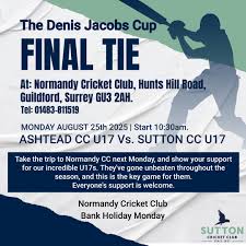 Image result for Ashtead Cricket Club