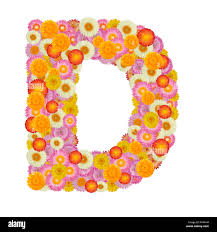 Image result for  d   @  