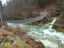 Image result for PONT DE SINGE