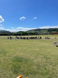 Image result for Minehead Cricket Club