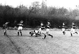 Image result for Aberdare Rugby Union Football Club