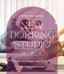 Image result for Dorking Badminton Club/Dorking Junior B C