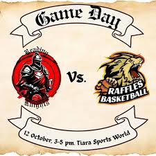 Image result for Reading Knights