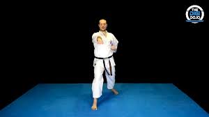 Image result for Junsui Shotokan Karate Do