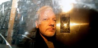 Image result for julian assange