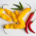 Afbeeldingsresultaat voor mme jeanette hot pepper
