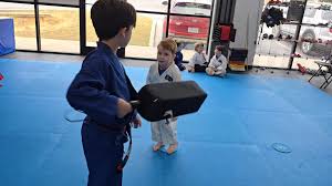 Image result for Awesome Martial Arts Training Center