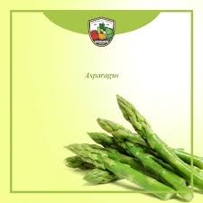 Attēlu rezultāti vaicājumam “Asparagus officinalis fruit”
