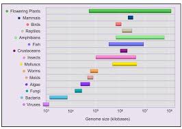 Image result for genome sizes