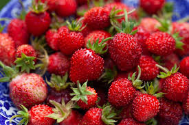 Attēlu rezultāti vaicājumam “Fragaria moschata”