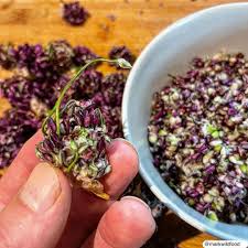 Attēlu rezultāti vaicājumam “Allium scorodoprasum fruit”