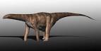File:Cetiosaurus BW.jpg - Wikipedia, the free encyclopedia