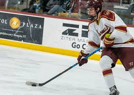 Image result for Norwich City Roller Hockey Club