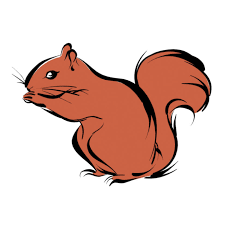 Image result for High Wycombe Cc