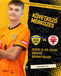 Image result for sényő