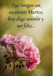 Attēlu rezultāti vaicājumam “Martes”