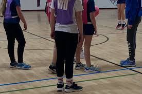 Image result for pulborough netball club