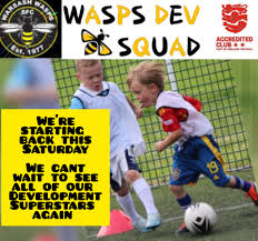 Image result for Warsash Wasps Sports & Football Club