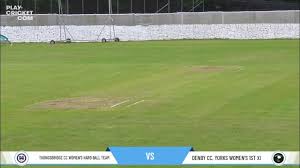 Image result for Denby Cc