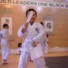 Image result for America's Best Karate
