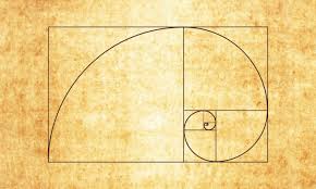 Image result for numero aureo