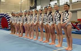 Image result for City Of Salford Gymnastics Club