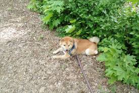 Image result for site:buyreklama.ru/*