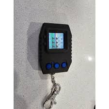 Image result for digimon pendulum