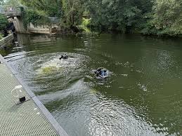 Image result for Bedford Scuba Divers