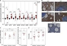 Attēlu rezultāti vaicājumam “Bryum funkii cells”