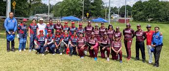 Image result for York Ladies Cricket Club