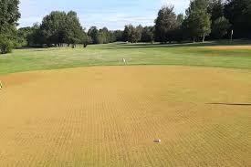 Image result for Ilford Golf Club Limited