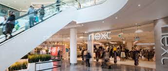 Image result for Basingstoke Sc