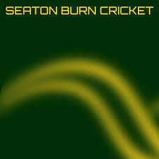 Image result for Lintz Cricket Club