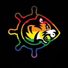 Image result for Tiger Bay Brawlers Roller Derby Team