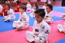 Image result for Turners Tae Kwon Do