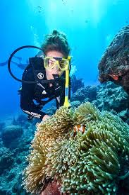 Image result for Reading University Sub Aqua Club