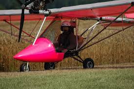 Image result for The Nayland Flying Club