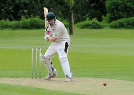 Image result for Worlingworth Cricket Club